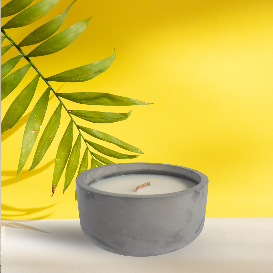 I Attract Good Vibes (And Mild Chaos)  6 oz