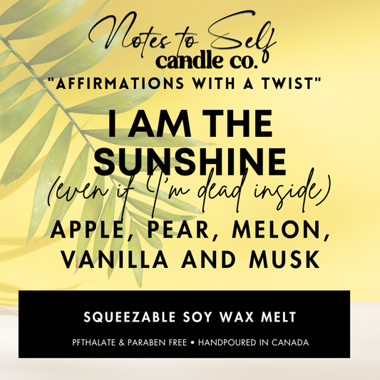 I Am The Sunshine (Even If I'm Dead Inside)