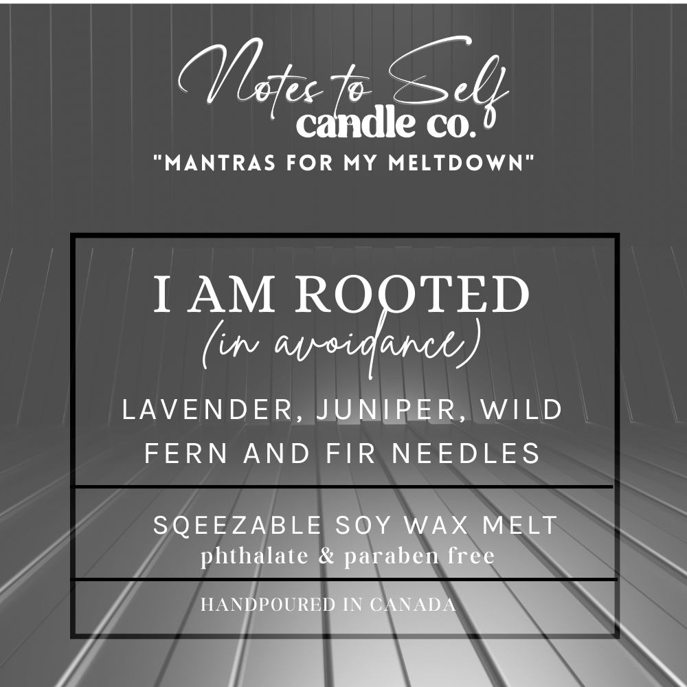 I Am Grounded (In My Dreams)