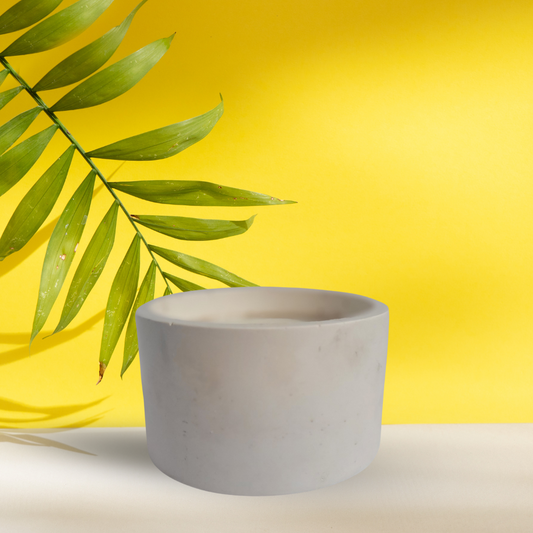 I'm Doing Great (According to My Candles)  11 oz