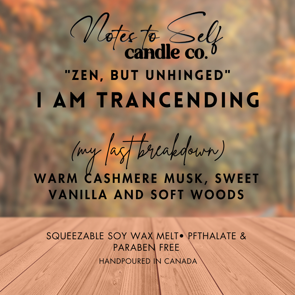 I Am Transcending (My Last Breakdown)