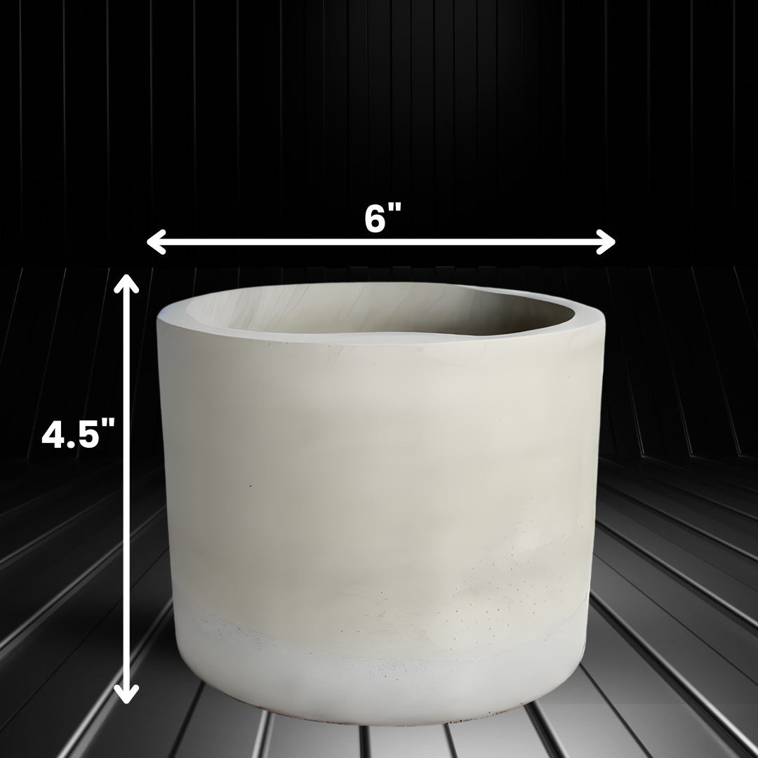 I Am Grounded (In My Dreams)  30 oz