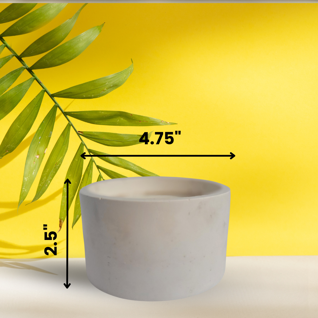 I Attract Good Vibes (And Mild Chaos)  11 oz