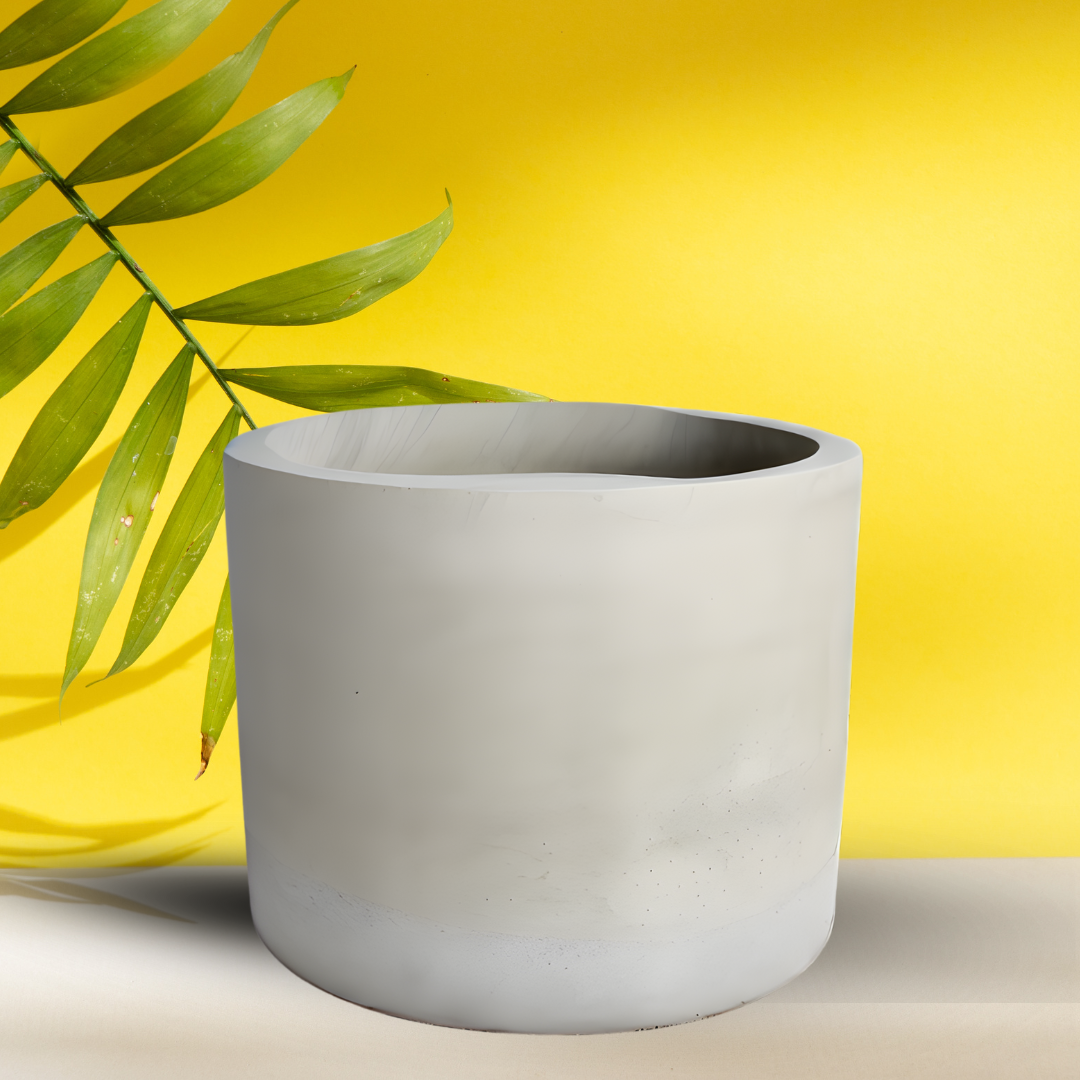 I Am Focused (On Literally Everything At Once)  30 oz