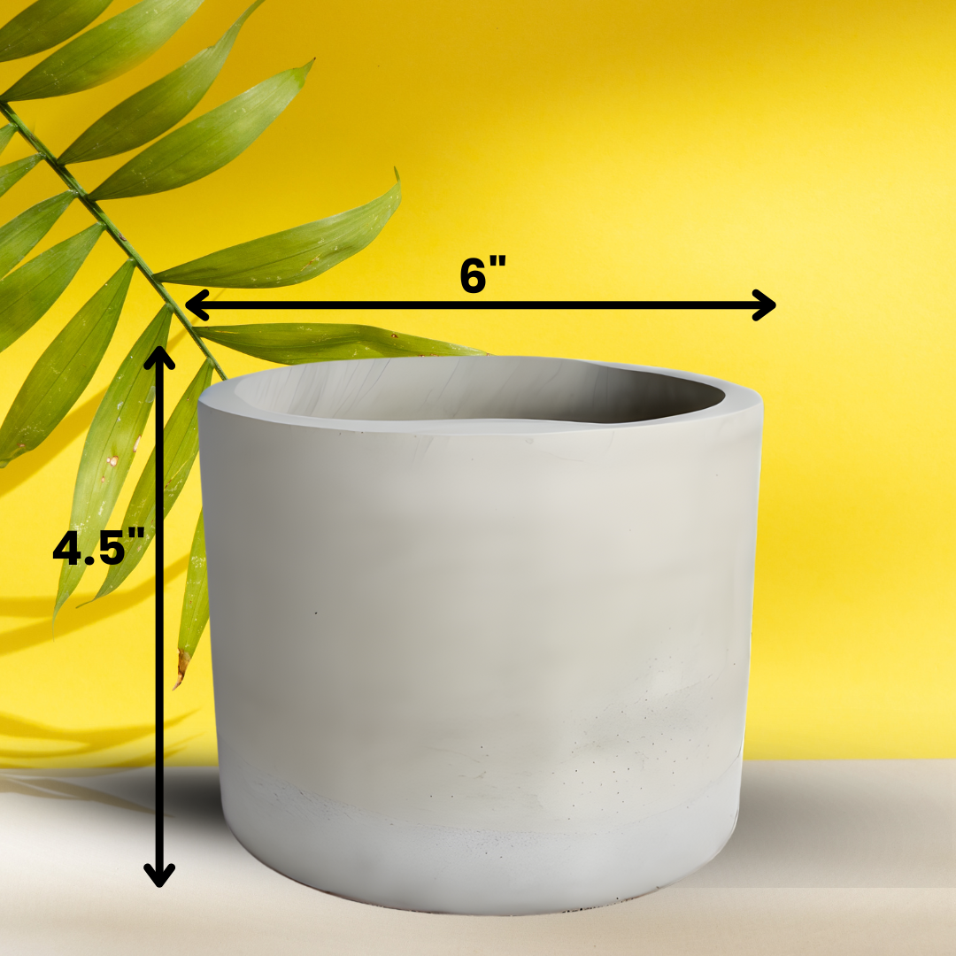 I Am The Sunshine (Even If I'm Dead Inside)  30 oz