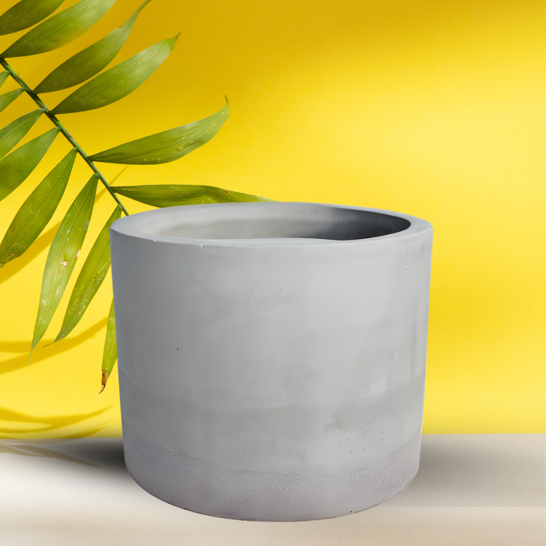 I Attract Good Vibes (And Mild Chaos)  30 oz