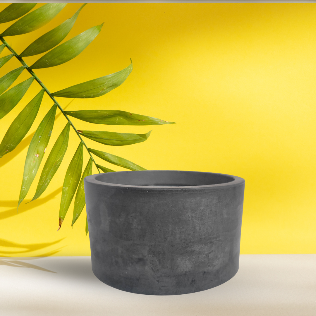 I Attract Good Vibes (And Mild Chaos)  11 oz